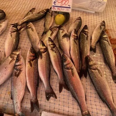 Casa Del Pescatore Di Ortigia Apartamento
